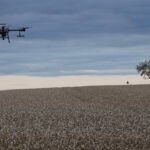 DJI Agras Drohne im Einsatz über einem Getreidefeld
