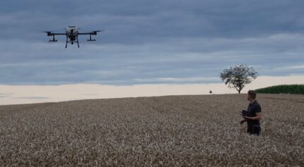 DJI Agras Drohne im Einsatz über einem Getreidefeld