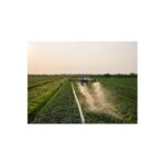DJI Agras T55 beim Sprüheinsatz über einem Feld